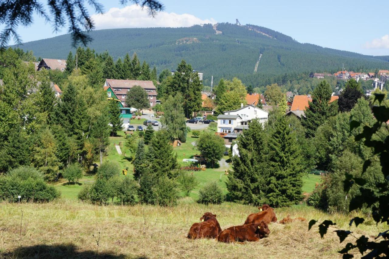 Villa Am Paulsberg Braunlage Exterior foto